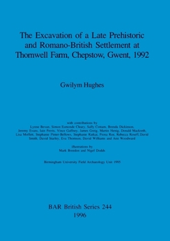 Paperback The Excavation of a Late Prehistoric and Romano-British Settlement at Thornwell Farm, Chepstow, Gwent, 1992 Book