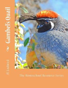 Paperback Gambel's Quail: The Homeschool Resource Series Book