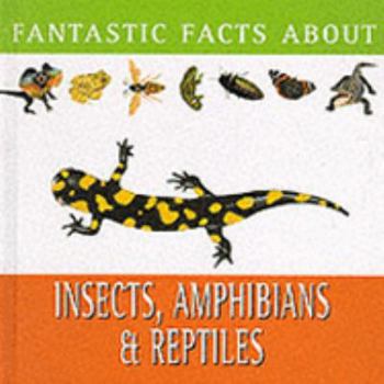 Hardcover INSECTS AND REPTILES (FANTASTIC FACTS S.) Book