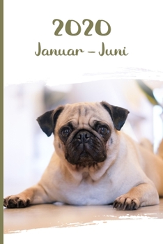 Kalender 2020: Mops Hunde Tageskalender 1. Halbjahr Januar Juni ca DIN A5 wei� �ber 190 Seiten