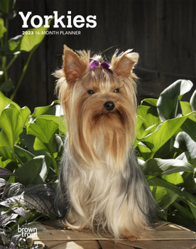 Calendar Yorkshire Terriers 2023 Engagement Book