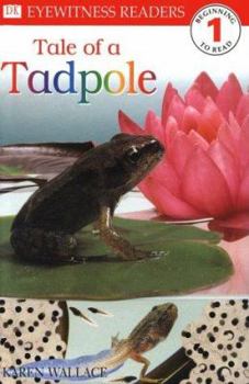 Paperback DK Readers: Tale of a Tadpole (Level 1: Beginning to Read) (DK READERS LEVEL 1) Book