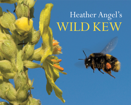 Paperback Heather Angel's Wild Kew Book