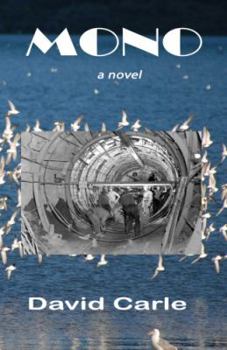 Paperback Mono: a novel Book