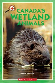 Paperback Canada Close Up: Canada's Wetland Animals Book