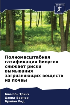 Полномасштабная газифи&#