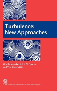Hardcover Turbulence: New Approaches Book