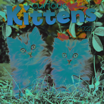 Calendar Kittens Curious 2022 Wall Calendar Book