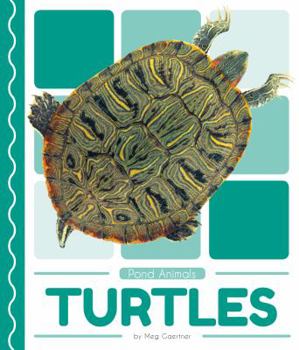 Library Binding Turtles Book