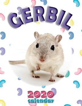 Paperback Gerbil 2020 Calendar Book