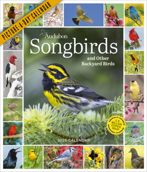 Calendar Audubon Songbirds and Other Backyard Birds Picture-A-Day(r) Wall Calendar 2026 Book