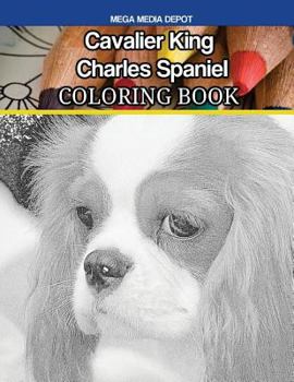 Paperback Cavalier King Charles Spaniel Coloring Book