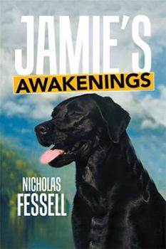 Paperback Jamie's Awakenings Book