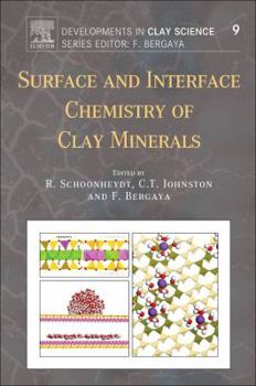 Paperback Surface and Interface Chemistry of Clay Minerals: Volume 9 Book