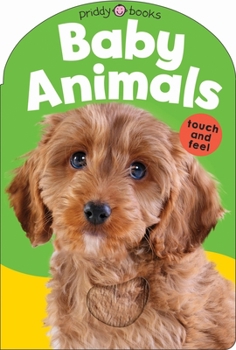 Board book Baby Touch & Feel: Baby Animals Book