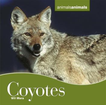 Library Binding Coyotes Book