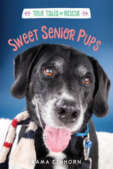 Hardcover Sweet Senior Pups Book