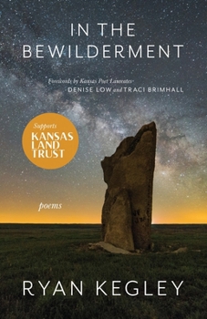 Paperback In the Bewilderment Book