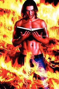Paperback Ryan of the Wildfire Book
