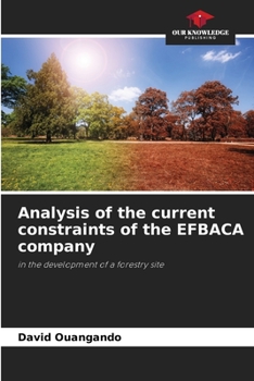 Paperback Analysis of the current constraints of the EFBACA company Book