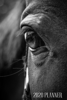 Planner 2020: Blank daily and weekly calendar 2020 to organize your life day by day! Perfect gift for busy mom, entrepreneurs and students. Beautiful horse cover design.