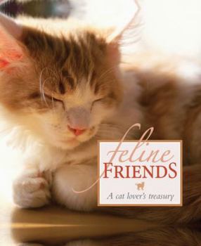 Hardcover Feline Friends Book