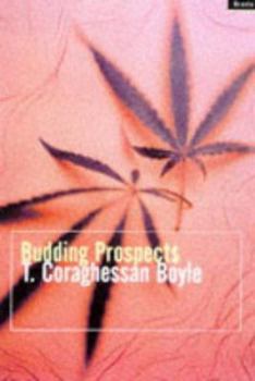 Paperback Budding Prospects Book