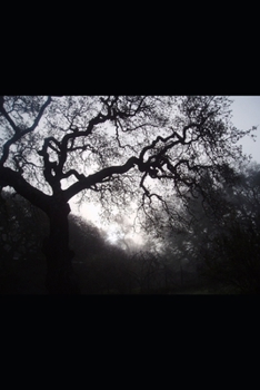 Summer's Errant (Winter’s Embrace)