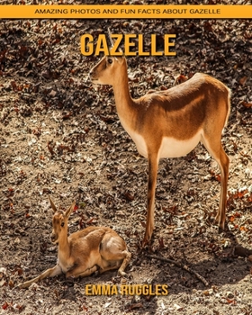 Gazelle: Amazing Photos and Fun Facts about Gazelle
