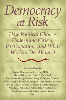 Hardcover Democracy at Risk: How Political Choices Undermine Citizen Participation, and What We Can Do about It Book