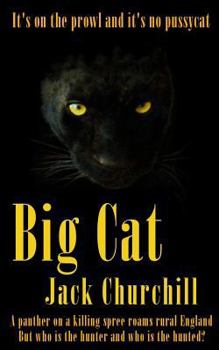 Paperback Big Cat Book