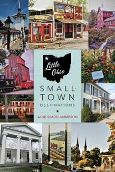 Paperback Little Ohio: Small-Town Destinations Book