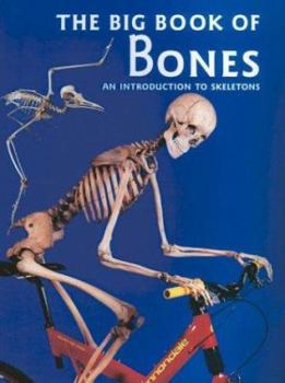 Hardcover The Big Book of Bones Book