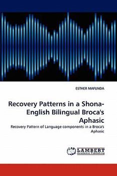 Paperback Recovery Patterns in a Shona- English Bilingual Broca's Aphasic Book