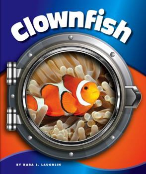 Clownfish - Book  of the In the Deep Blue Sea