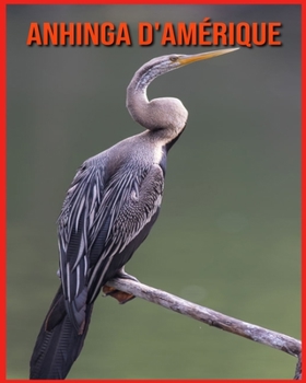 Paperback Anhinga d'Am?rique: Informations Int?ressantes Concernant les Anhinga d'Am?rique [French] Book