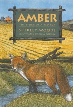 Paperback Amber: The Story of a Red Fox Book
