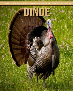 Dinde: Le Guide Essentiel Consacré à Cet Animal Extraordinaire avec des Photos Étonnantes