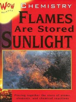 Library Binding Chemistry: Flames Are Stored Sunlight Book