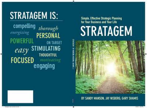 Paperback Stratagem: Simple, Effective Strategic Planning for Your Business and Your Life Book
