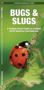 Pamphlet Bugs & Slugs: A Folding Pocket Guide to Familiar North American Invertebrates Book