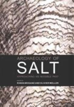 Paperback Archaeology of Salt: Approaching an Invisible Past Book