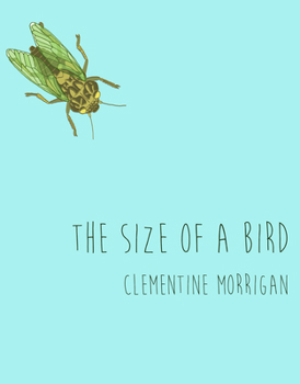 Paperback The Size of a Bird Book