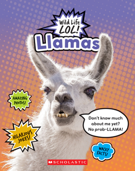 Hardcover Llamas (Wild Life Lol!) Book
