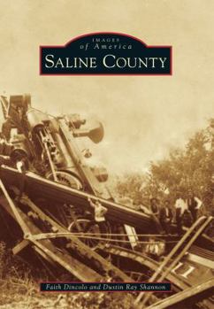 Paperback Saline County Book