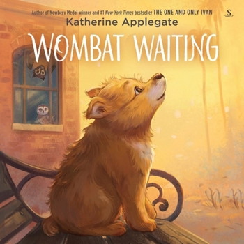 Audio CD Wombat Waiting Book