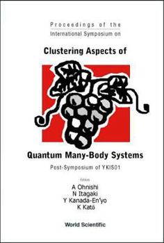 Hardcover Clustering Aspects of Quantum Many-Body Systems Book