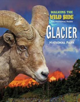 Hardcover Glacier Book