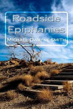 Paperback Roadside Epiphanies Book