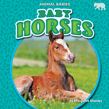 Library Binding Baby Horses Book